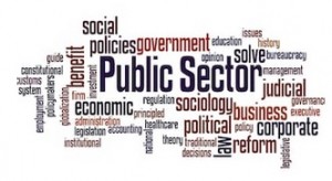 public sector 1